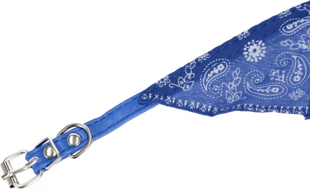 Obroża dla psa z chustą 1cm - tantis.pl