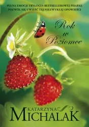 Rok w Poziomce. Tom 1