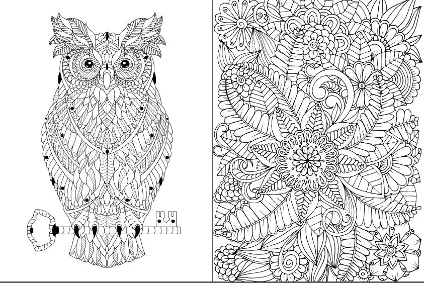 Розмальовка-антистрес.Ідеальна гармонія - tantis.pl