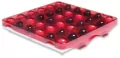 Pentago - tantis.pl