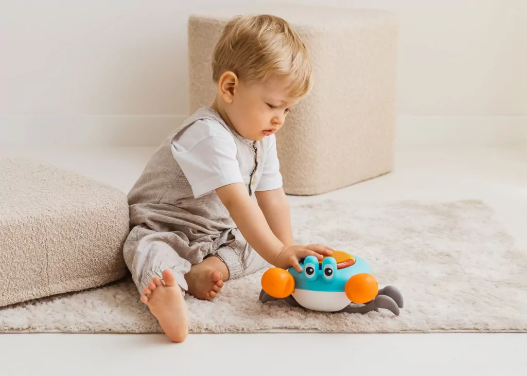 Krab mądrala - tantis.pl