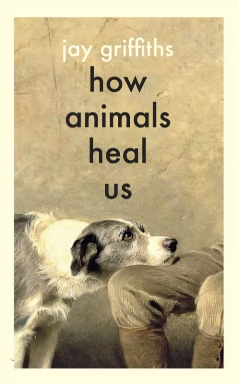 How Animals Heal Us wer. angielska - tantis.pl