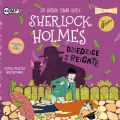 Dziedzice z Reigate. Sherlock Holmes. Tom 6. CD MP3. Audiobook - tantis.pl
