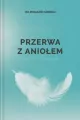 Przerwa z aniołem. Medytacje w ciągu dnia - tantis.pl