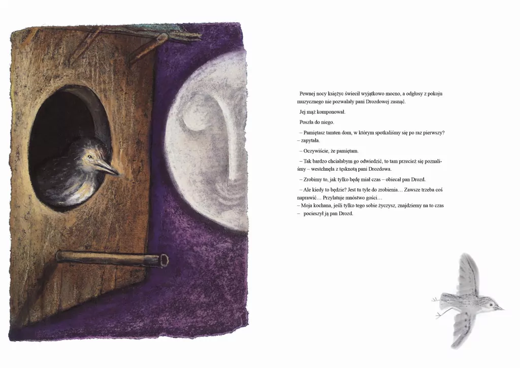 Pani Drozdowa - tantis.pl