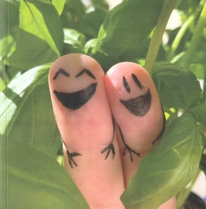 Chewing gums - tantis.pl