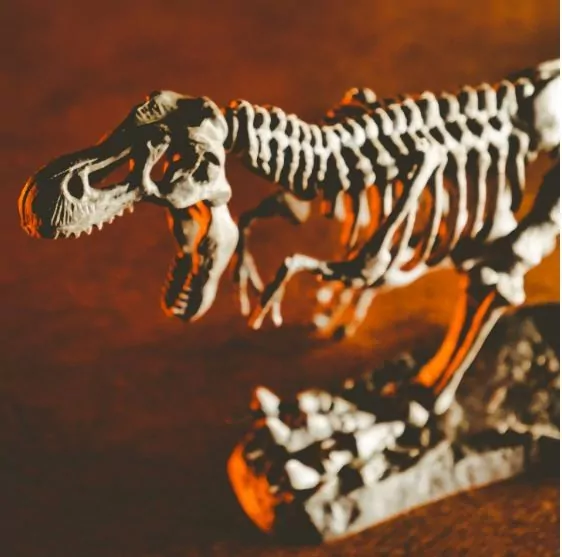 Smoki i dinozaury. Crazy Science - tantis.pl