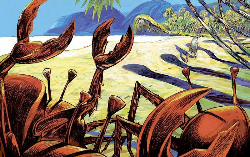 Robinson Crusoe - tantis.pl