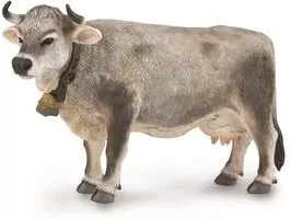 Tyrolska krowa szara - tantis.pl