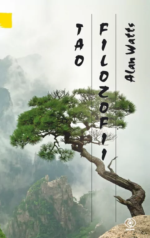 Tao filozofii. Zapis wykładów - tantis.pl