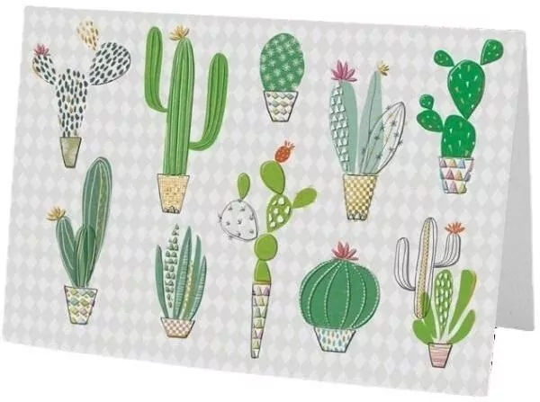 Karnet B6 + koperta MO7475 Kaktusy - tantis.pl
