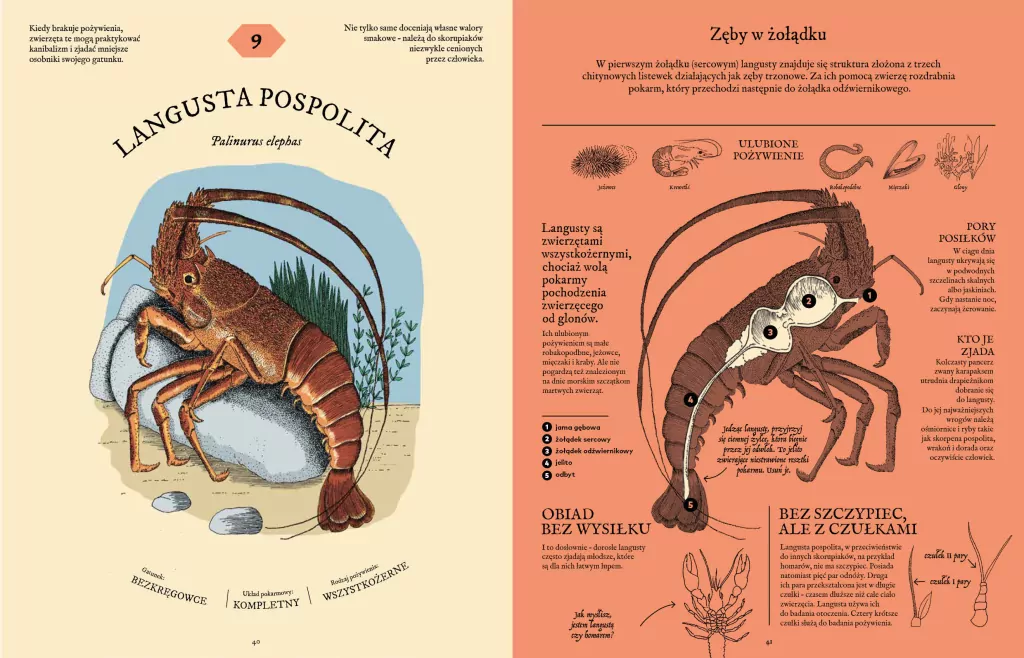 Jak to strawić? Tajemnice układu pokarmowego zwierząt - tantis.pl