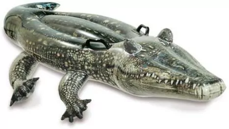 Aligator do pływania - tantis.pl