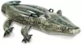 Aligator do pływania - tantis.pl