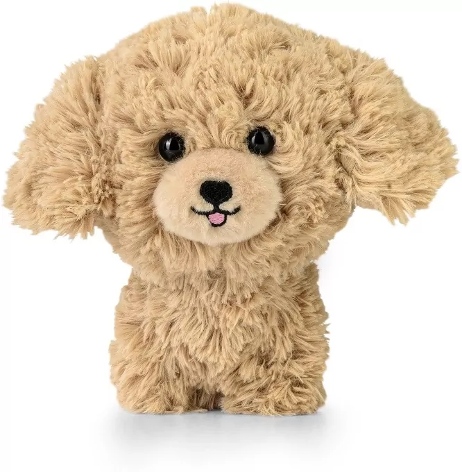 Maskotka Teddy Pets Golden Poodle - tantis.pl