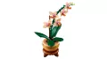 LEGO Botanicals, klocki. Mała orchidea - tantis.pl