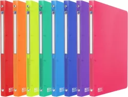 SEGREGATOR PP A4/20/4R OXF PRZEZ MIX 400147042