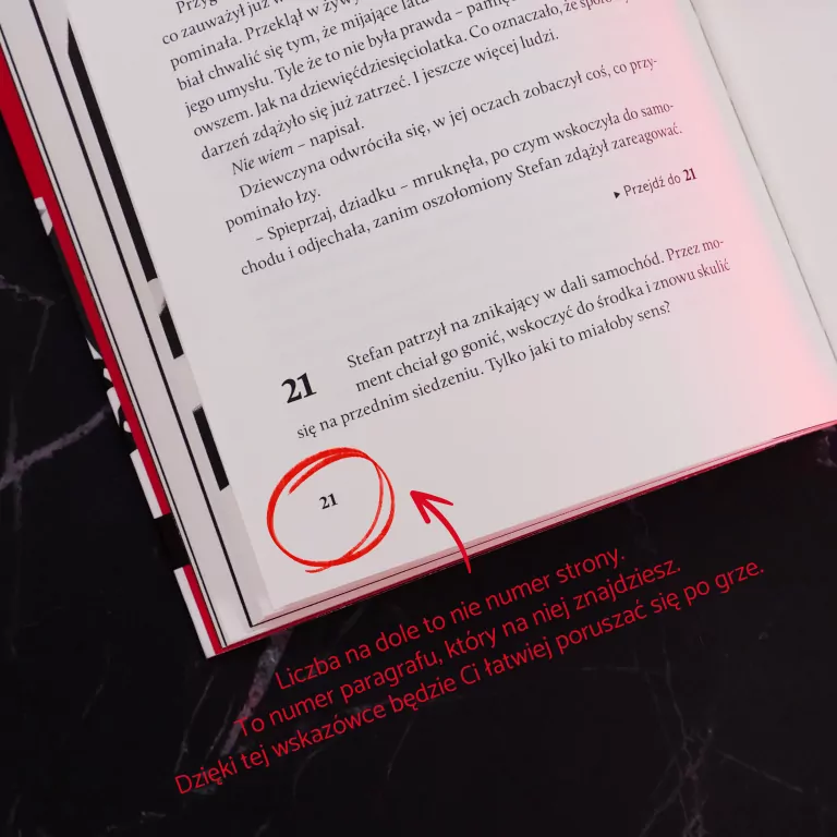 Duch świąt - gra paragrafowa MUDUKO - tantis.pl