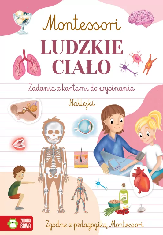 Ludzkie ciało. Montessori - tantis.pl