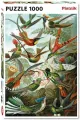 Puzzle 1000, Haeckel, Kolibry - tantis.pl