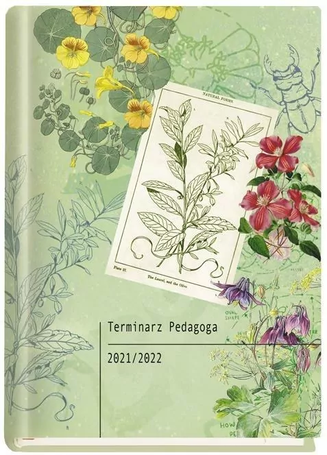 Terminarz Pedagoga 2015/16 Niebieski - tantis.pl