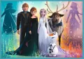 Puzzle 4w1. Frozen. Niezwykły świat - tantis.pl