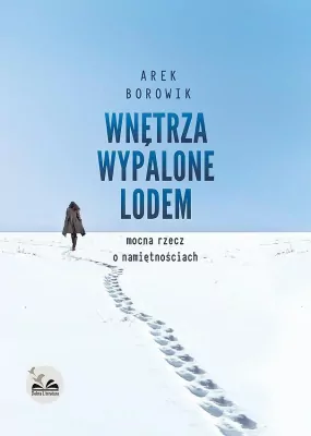 Wnętrza wypalone lodem