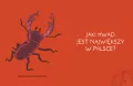 Patyki, kamyki i ROBALE. - tantis.pl