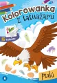 Ptaki. Kolorowanka z tatuażami - tantis.pl
