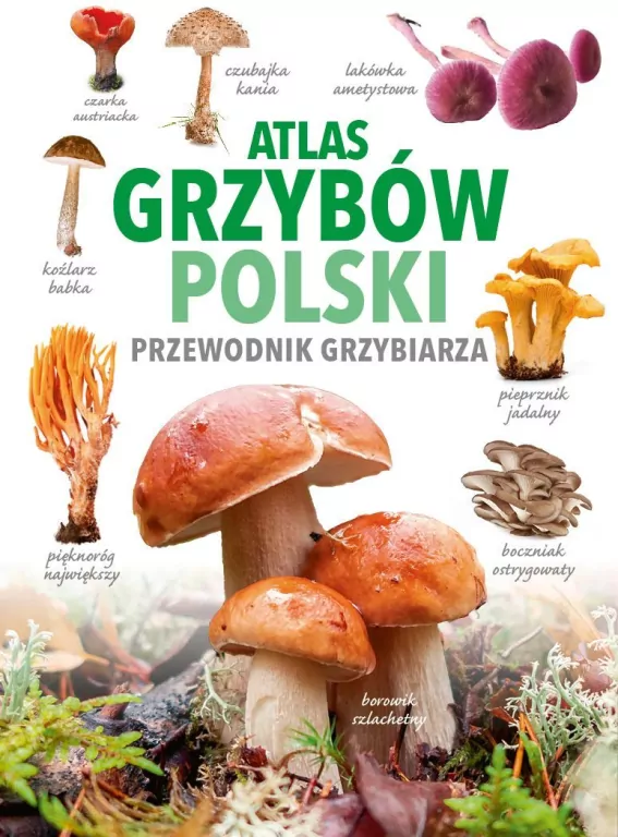 Atlas grzybów Polski - tantis.pl