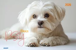 Kalendarz 2026 ścienny albumowy 28,5x20cm Psy