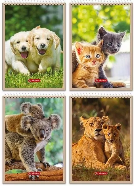Notatnik A6/40K kratka Animals (10szt) HERLITZ - tantis.pl