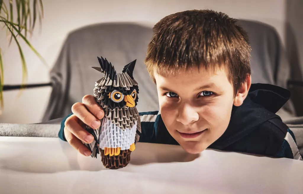 Origami 3D sowa/owl - tantis.pl