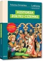 Historia Żółtej Ciżemki. Lektura z opracowaniem - tantis.pl