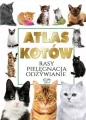 Atlas kotów - tantis.pl