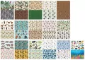 Blok z motywami Animals Wild A4/16K HAPPY COLOR - tantis.pl