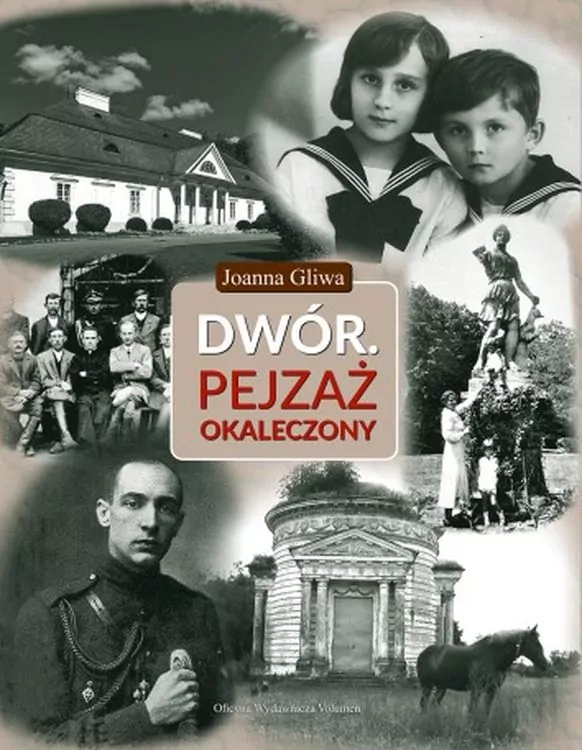 Dwór. Pejzaż okaleczony - tantis.pl