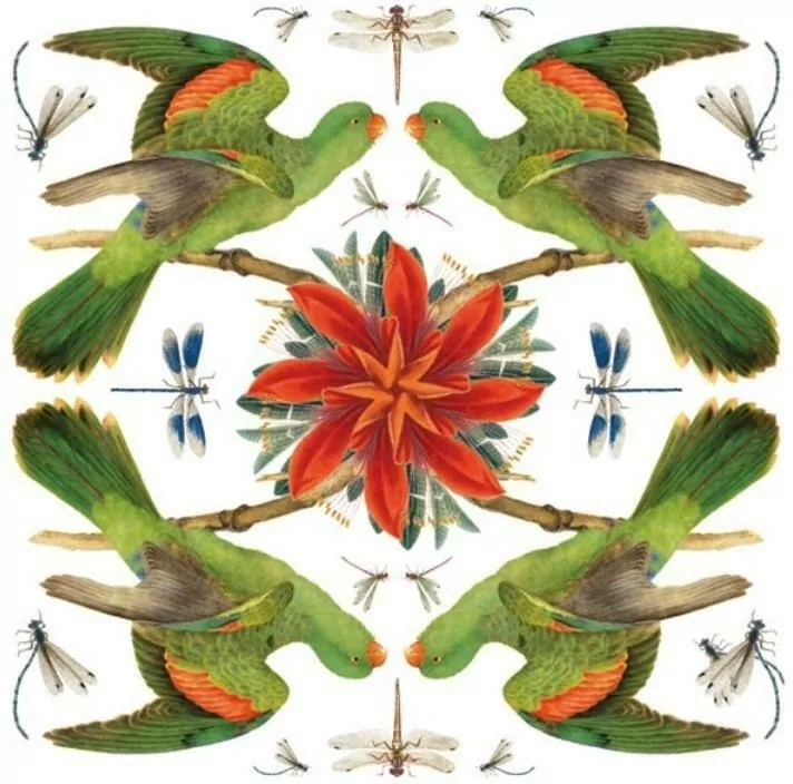 Karnet kwadrat z kopertą Red-winged Parrot - tantis.pl