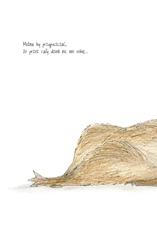 Myśl jak kapibara - tantis.pl