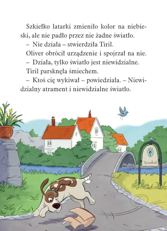 Operacja Rupieciarz - tantis.pl