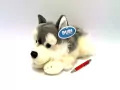 Pies Husky 30cm - tantis.pl