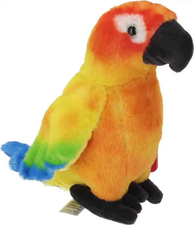 Konura słoneczna 20cm - tantis.pl