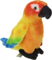 Konura słoneczna 20cm - tantis.pl