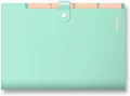 Teczka z przegródkami A4 PP-105 zielona pastel - tantis.pl