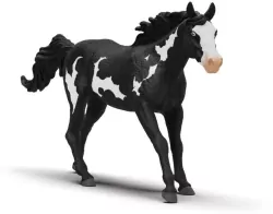 Wałach rasy Paint Horse