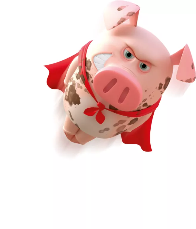 Świnie na trampolinie - tantis.pl