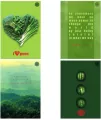 Brulion B5/96K kratka Think Green (5szt) - tantis.pl