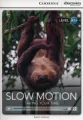 Slow Motion: Taking Your Time - tantis.pl