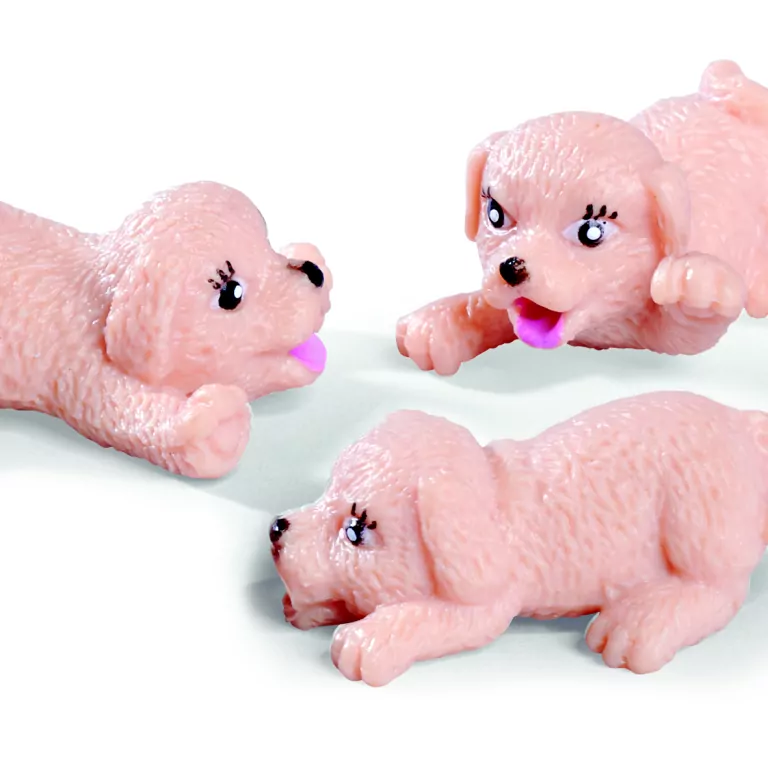 Evi doktor szczeniaków - tantis.pl