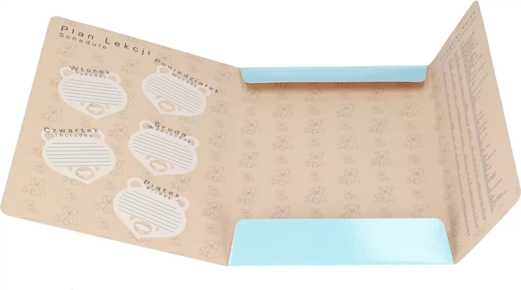 TECZKA Z GUMKA PAP A4 MIS MIX2 STK FOL10/100 - tantis.pl